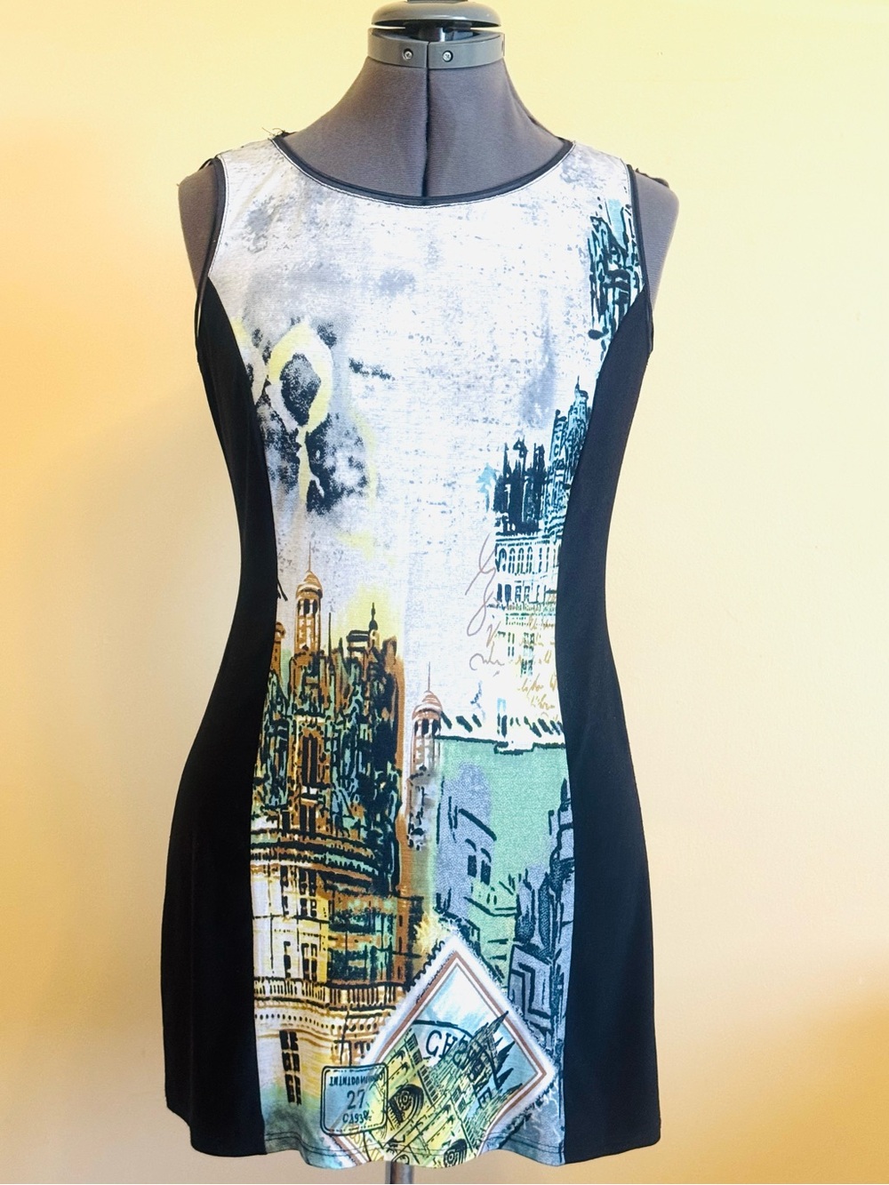 Black Panel Sleeveless Graphic Print Shift Dress